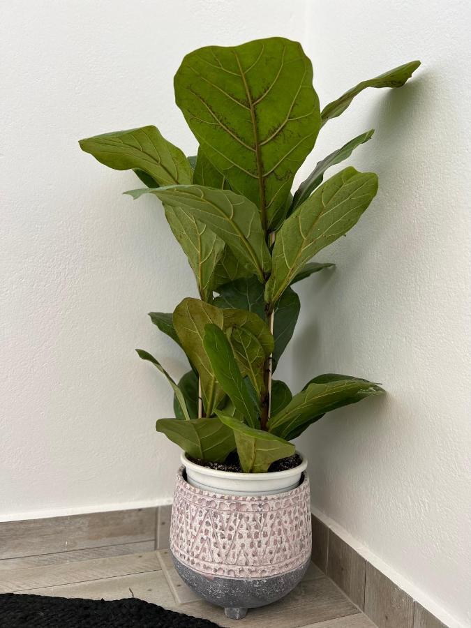 Filia Suite-Apartment Agia Anna  מראה חיצוני תמונה